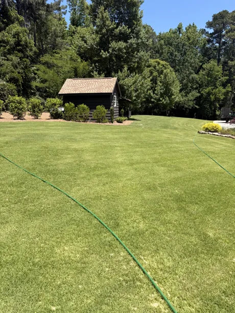 A broad tall fescue lawn kept dense and green around a hunting cabin