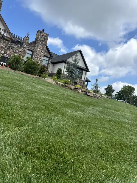 A steep hillside lawn kept dense and even