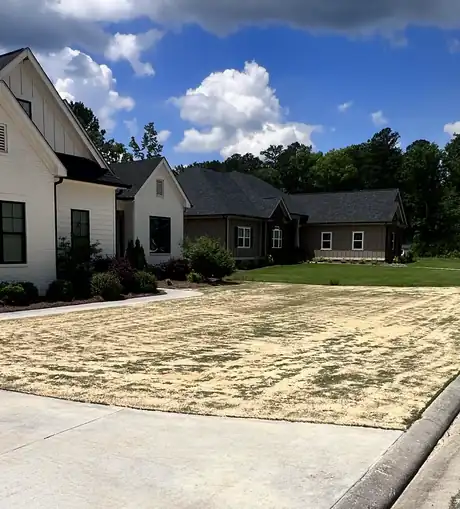 A lawn covered in fresh topdressing sand on application day
