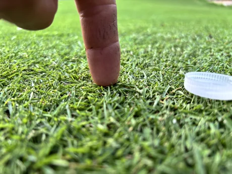 A fingertip pressing into dense Bermuda turf next to a bottle cap that sits on top of the canopy