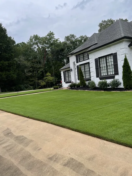 A striped, freshly topdressed lawn in front of a white brick estate